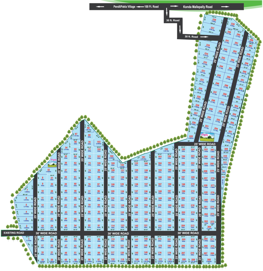 dreamcity layout